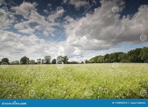 Lovely Countryside of Oxfordshire Stock Photo - Image of beautiful, hills: 193892070