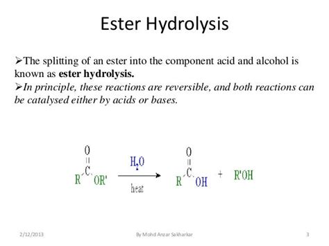 Ester Hydrolysis Mechanism