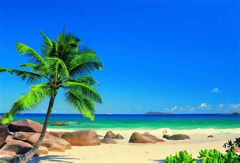 🔥 [43+] Caribbean Wallpapers | WallpaperSafari