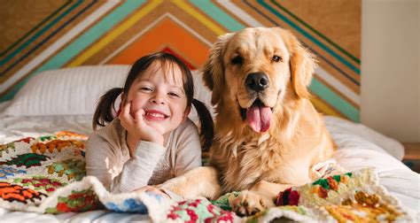 Haustiere F R Kinder Welches Tier Passt Zu Eurer Familie Lunamag De