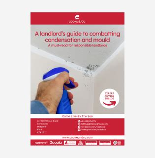 A Landlord S Guide To Combatting Condensation And Mould Estate Agent