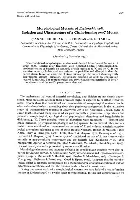 PDF Morphological Mutants Of Escherichia Coli Isolation And