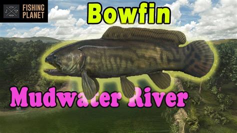 Bowfin Mudwater River Fishing Planet Beginner S Guide How To