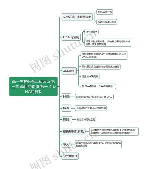 高一生物必修二知识点 第三章 基因的本质 第一节 Dna的复制思维导图 编号t6287767 Treemind树图