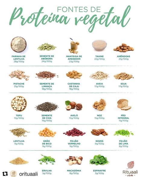 Tabela De Proteina Por Alimento