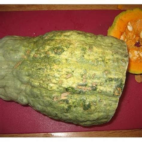 10 Best Hubbard Squash Recipes | Yummly