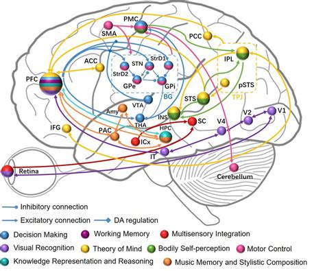 Multiple Cognitive Functions Integrated In BrainCog Their Related