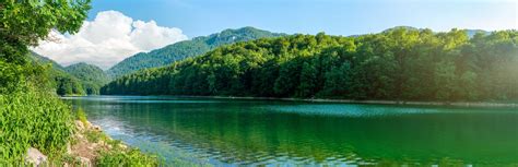 Unberührter Regenwald in Biogradska Gora erlebe Montenegro