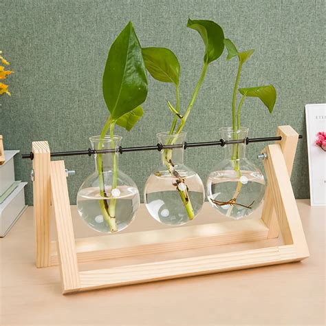 Creative Glass Hydroponics Plant Terrarium Wooden Stand Terrarium