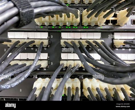 Ethernet Cables Connected From Patch Panel To The Network Equipment