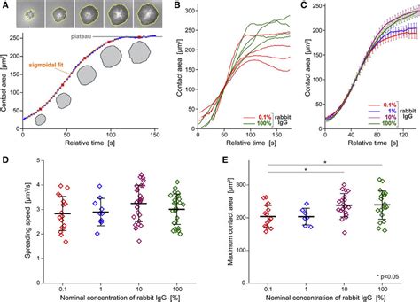 Quantitative Analysis Of The Cell Substrate Contact Area Of Spreading