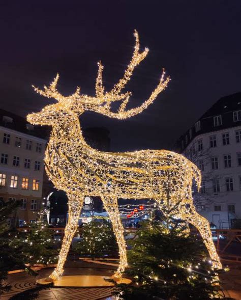 270+ Copenhagen Christmas Lights Stock Photos, Pictures & Royalty-Free ...