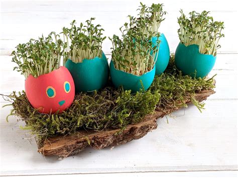 Diy Eier Raupe Nimmersatt Als Osterdeko Basteln Lavendelblog