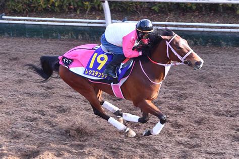 【高松宮記念・調教ズバッと採点】グレナディアガーズすさまじい加速力 ナランフレグは馬体フックラ好気配 競馬ニュース・特集なら東スポ競馬