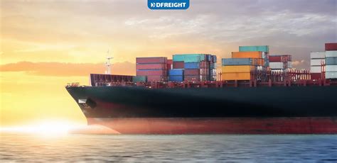 Shipping Companies In Uae Dubai Bold Top List