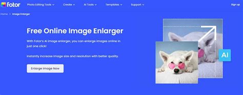 How To Enlarge Image Online Without Losing Quality A Detailed Guide