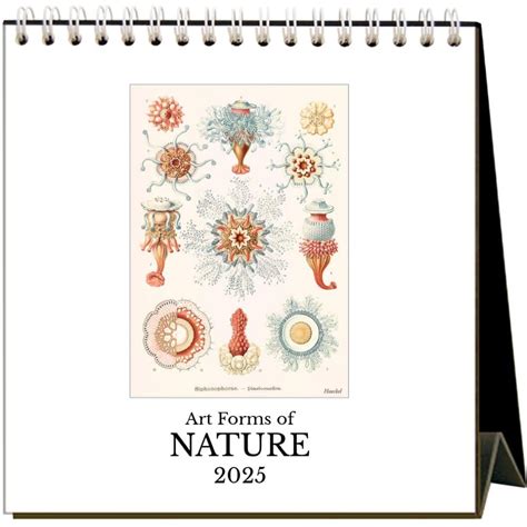 Art Forms of Nature 2025 Easel Desk Calendar - Calendars.com