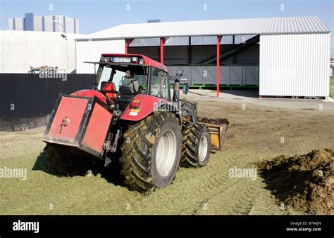 Frontlader Traktor Verbreitung Silage Vor Der Verteilung F R Eine