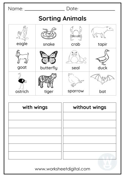 Kindergarten Science Worksheet Digital Worksheets Library