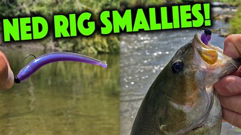 Z Man Trd Minnowz For River Smallmouth Bass Youtube