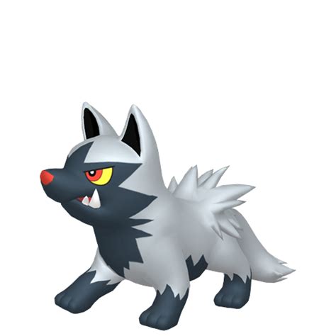 Poochyena (Pokémon GO) • Best Moveset, Counters, CP & Stats