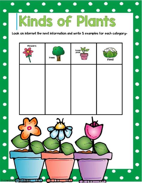 Kindergarten Plants Worksheet