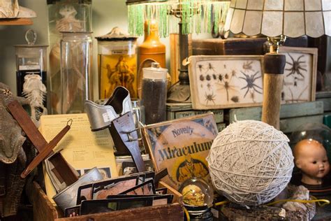 On the Grid : Obscura Antiques & Oddities