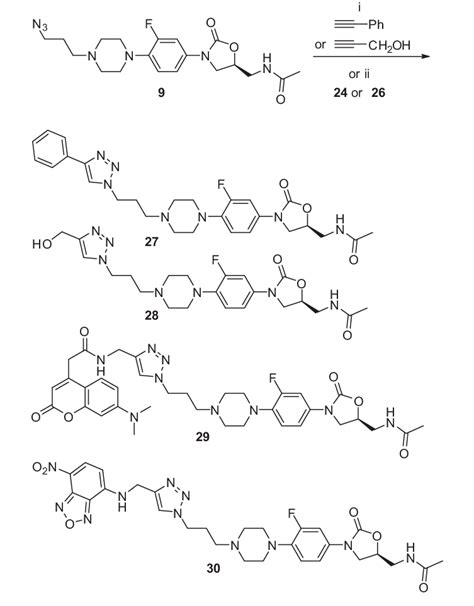 Scheme 3. 'Click' reaction to generate functionalized oxazolidinone ...