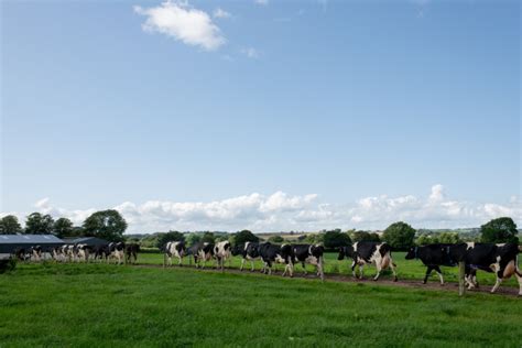 Getting To Know Irish Dairy Farmers Share Their Stories Of Sustainability