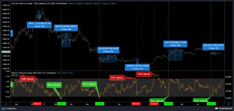 Bitcoin Market Analysis Signs Of Strength And Caution Cryptoquant