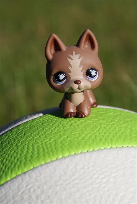 LPS dog by Eli102 on DeviantArt