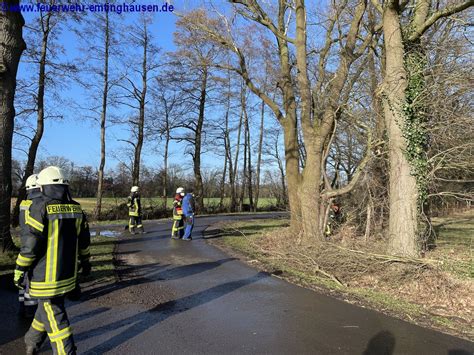 Technische Hilfeleistung Baum Droht Auf Stra E Zu Fallen