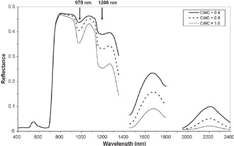 Example Of Three Canopy Spectral Signatures As Simulated With Prosail