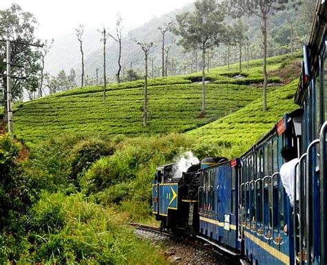 Ooty Nilgiri Mountain Railway Train Route Details With Ticket Price And