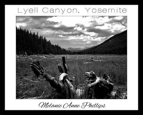 Lyell Canyon, Yosemite | Melanie Anne Phillips