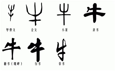 牛字的甲骨文、金文、大篆、小篆、隶书、草书、楷书、行书、魏碑体 分别怎么写的 百度知道