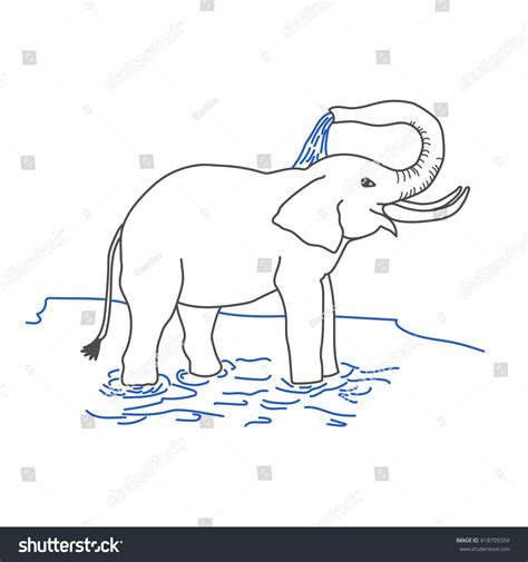 Elephant Splashing Itself Water Vector Drawing Stock Vector (Royalty Free) 618795554 ...