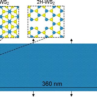 Schematic of the strip model of WS2. The model has an in-plane ...