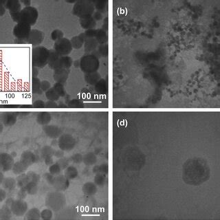 Effect Of TiO2 Nanoparticles On The Thermal Stability Of Native DNA