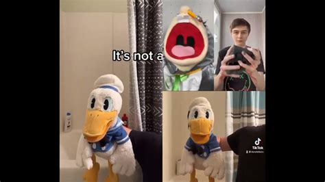 Donaldducc Meets Donald Duck Meets Jeffy 9 Youtube