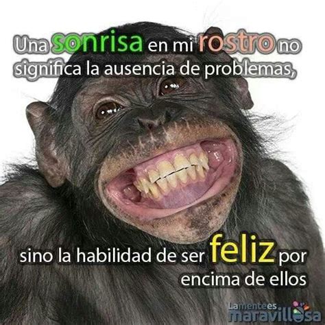 Sonrisas Funny Happy Birthday Images Birthday Quotes Funny Funny