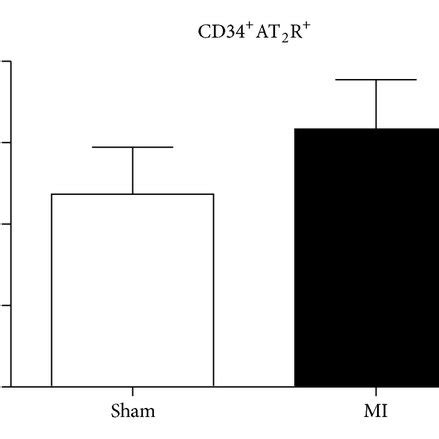 Flow Cytometric Analysis Of BMMNCs A FACS Plots Of C KitAT2R