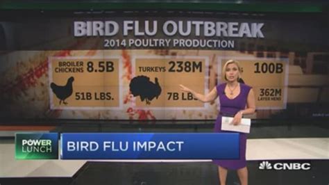 Outbreak Bird Flu Epidemic Getting Worse