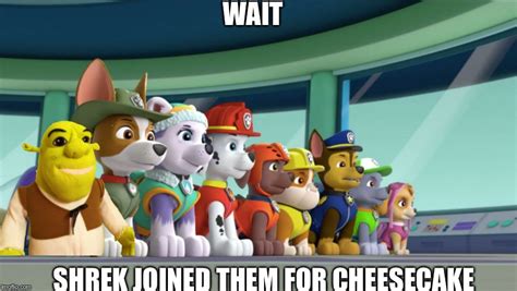 All 8 Paw Patrol Pups At The Lookout Memes Imgflip