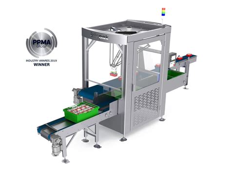 Automated Packing And Palletising Machines And Systems