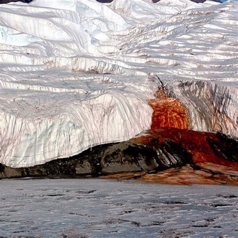 The Secret of the Blood Falls of Antarctica | Amusing Planet