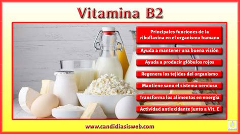 Alimentos Con Vitamina B2