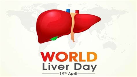 World Liver Day 2022 5 Food Items To Keep The Organ Healthy