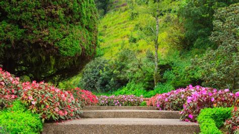 Quelles Fleurs Choisir Pour Mes Abords D Escalier