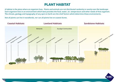 Plant Habitat – Recognise Plants